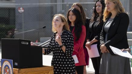 AB 2029 IVF Bill