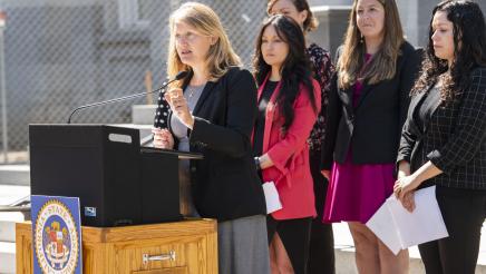 AB 2029 IVF Bill